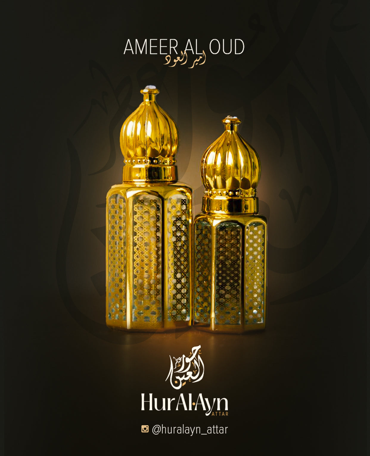 اَميْرُ الْعُوْد ~ Ameer Al Oud